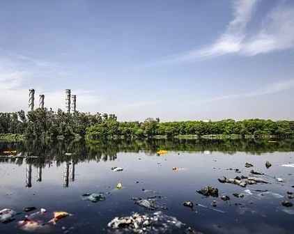 Image Title My Image